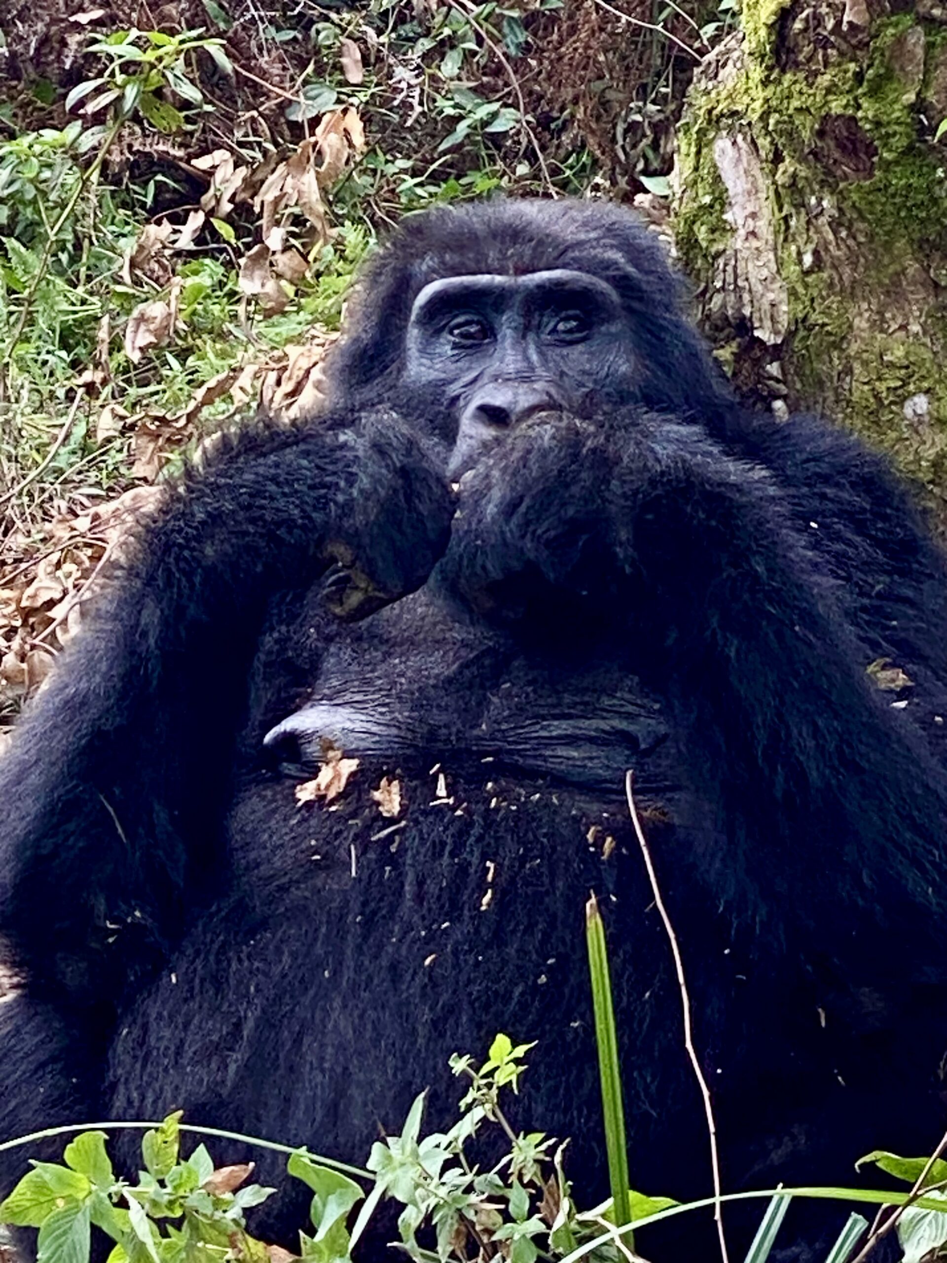 Uganda– August 19 – 22, 2024 - Image 8