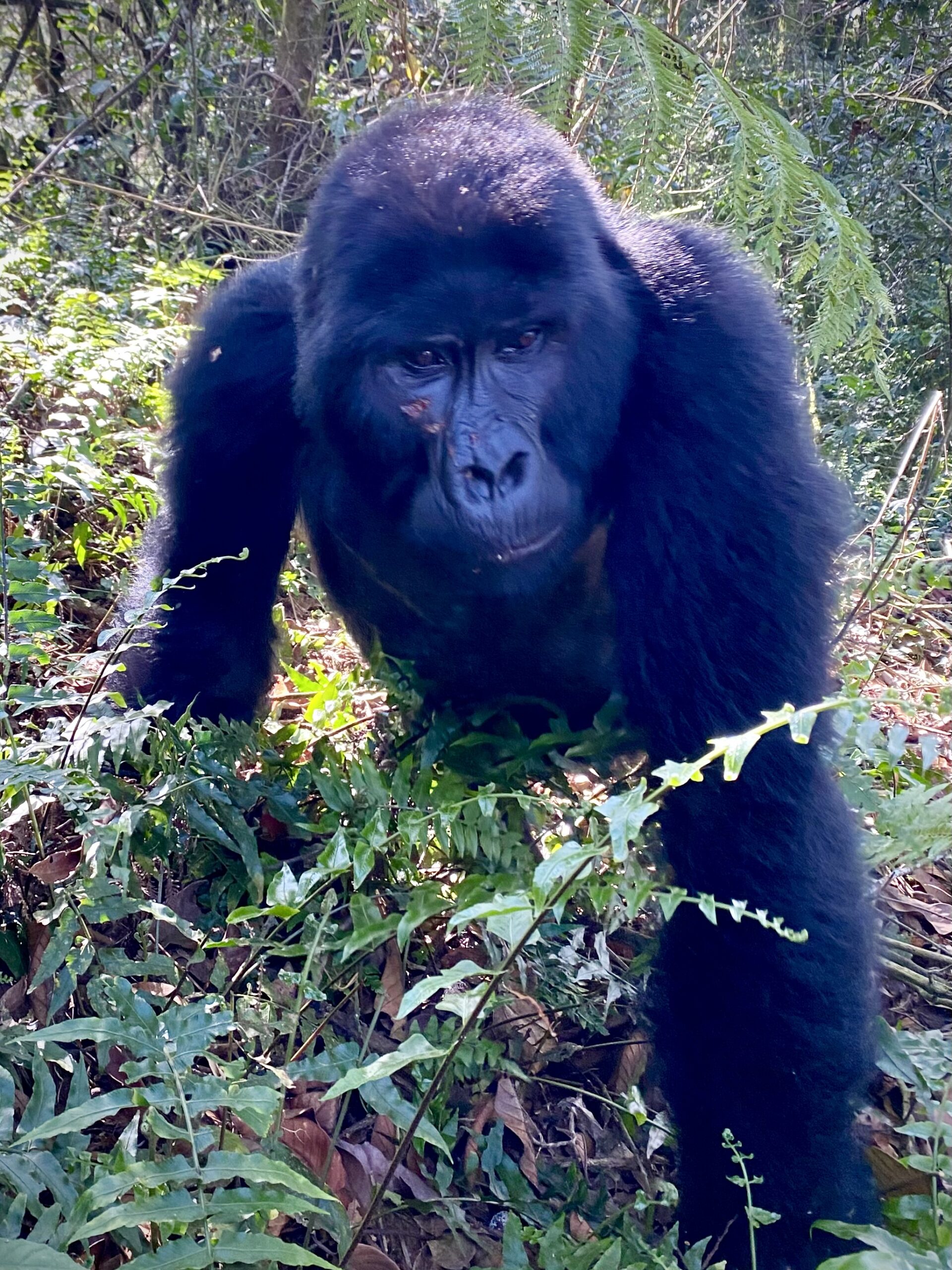 Uganda– August 19 – 22, 2024 - Image 5