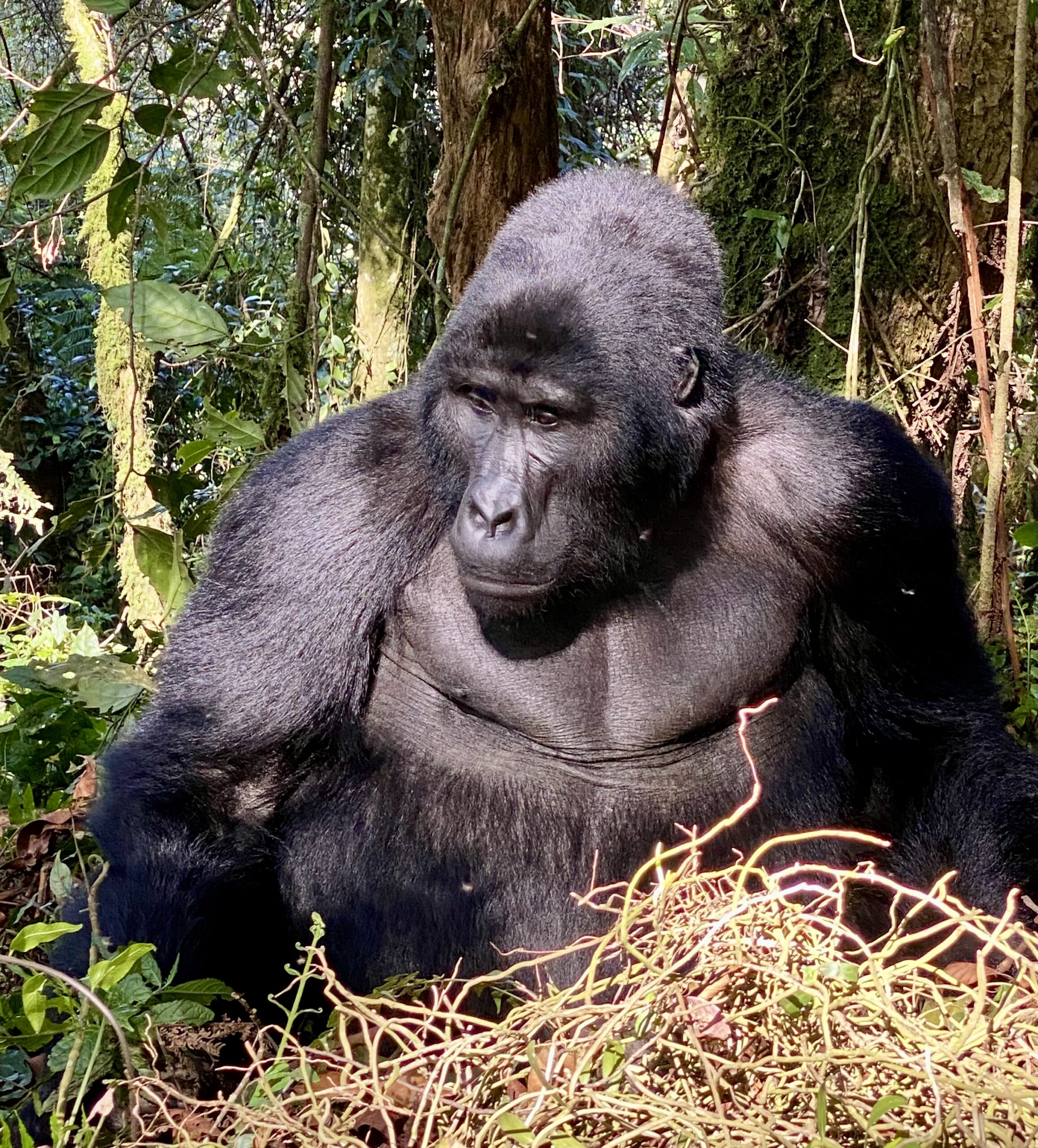 Uganda– August 19 – 22, 2024 - Image 4